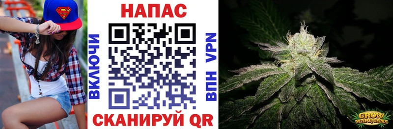 Виды наркотиков купить Новопавловск Амфетамин  Мефедрон  Cocaine  Гашиш  МАРИХУАНА 