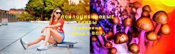 PSILOCYBIN Нягань